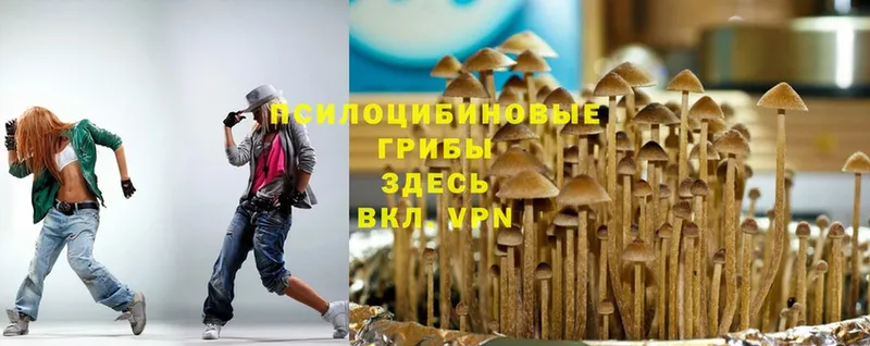 Галлюциногенные грибы Magic Shrooms  Белинский 